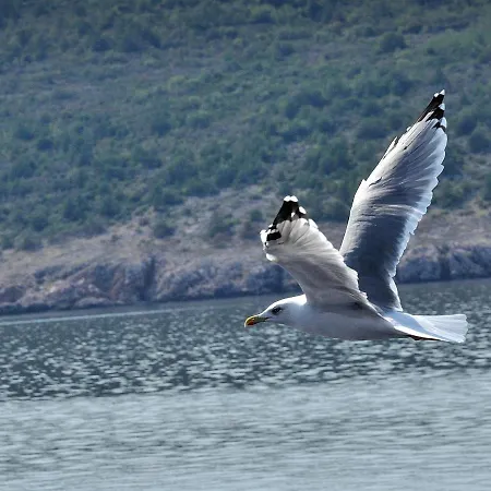 Apartmán Paril Crikvenica