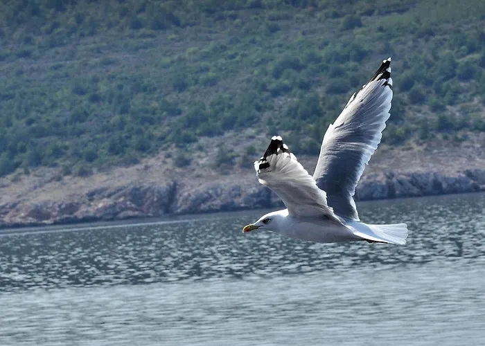 Appartement Paril Crikvenica